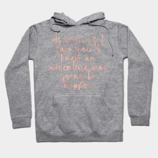 As soon as I saw you I knew an adventure was going to happen Hoodie